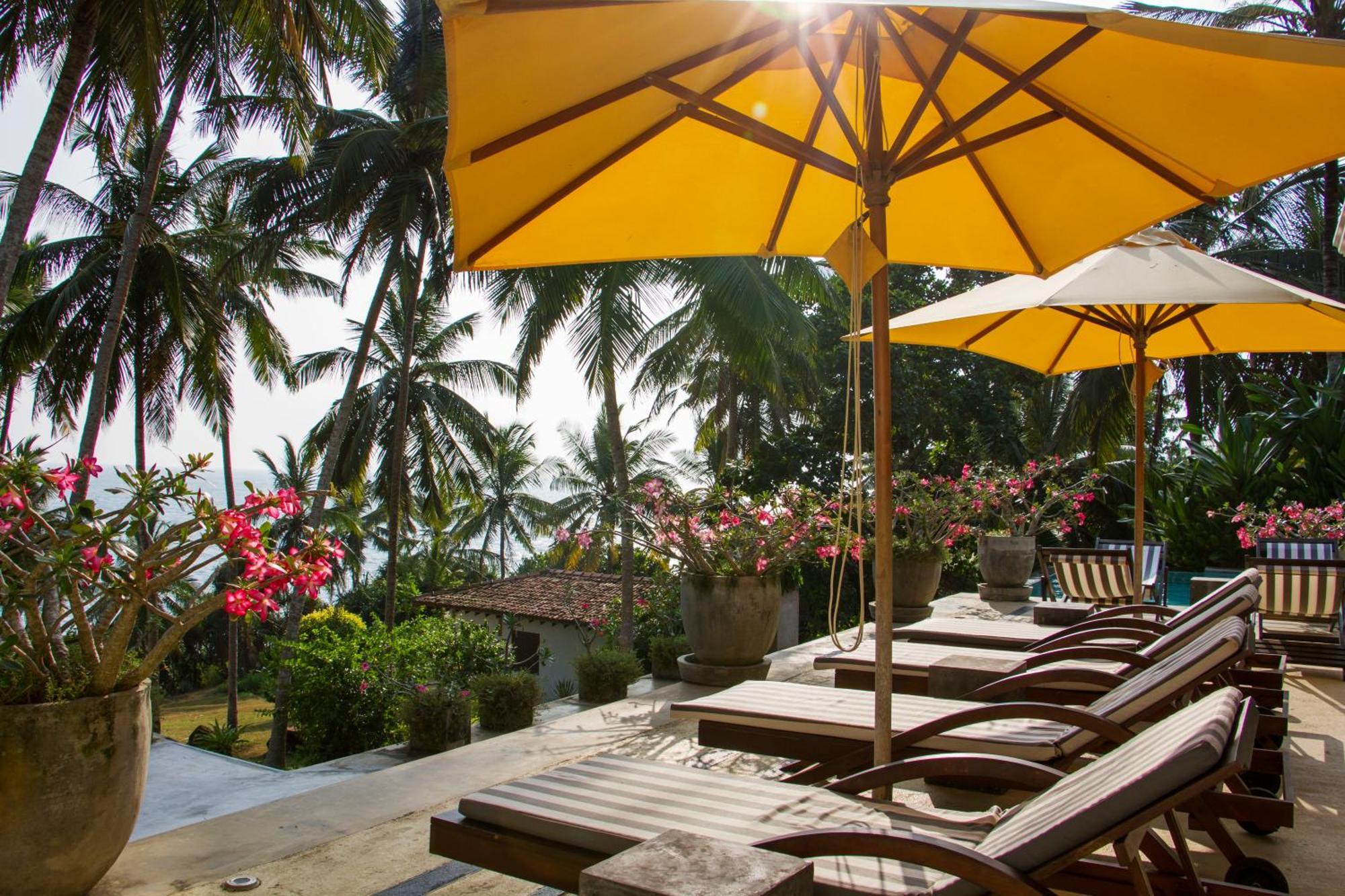 The Saffron House Hotel Dikwella Exterior foto