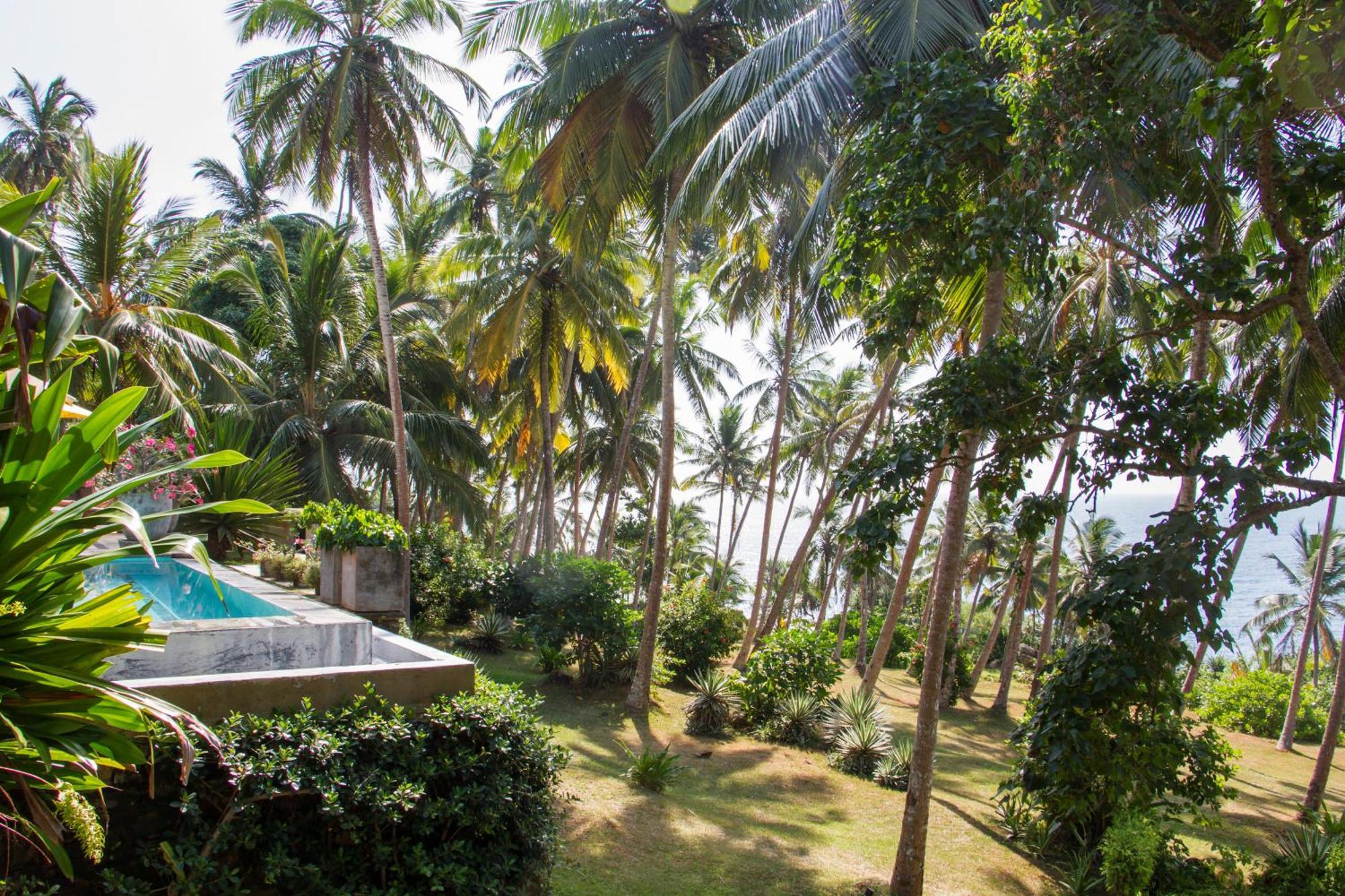 The Saffron House Hotel Dikwella Exterior foto