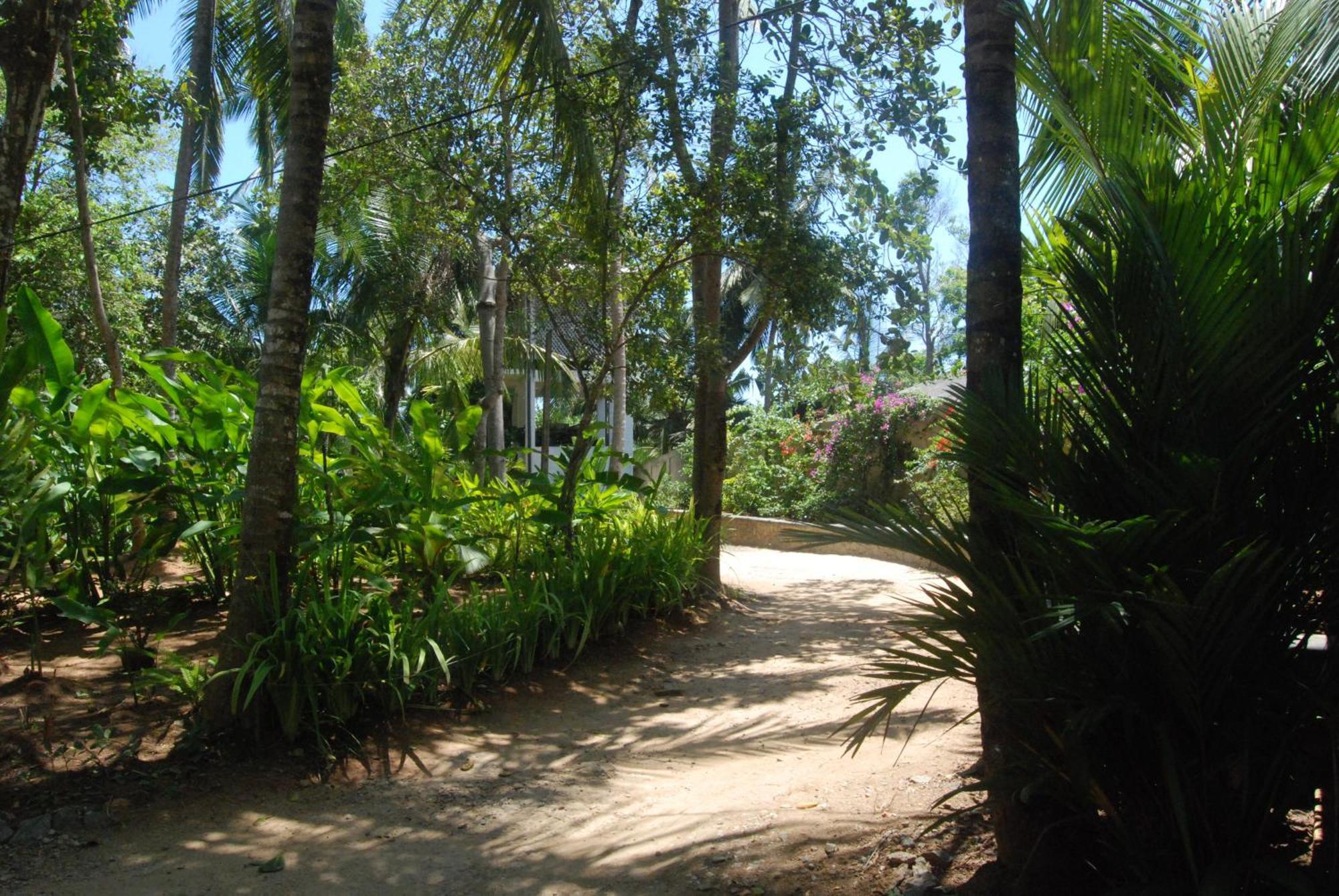 The Saffron House Hotel Dikwella Exterior foto